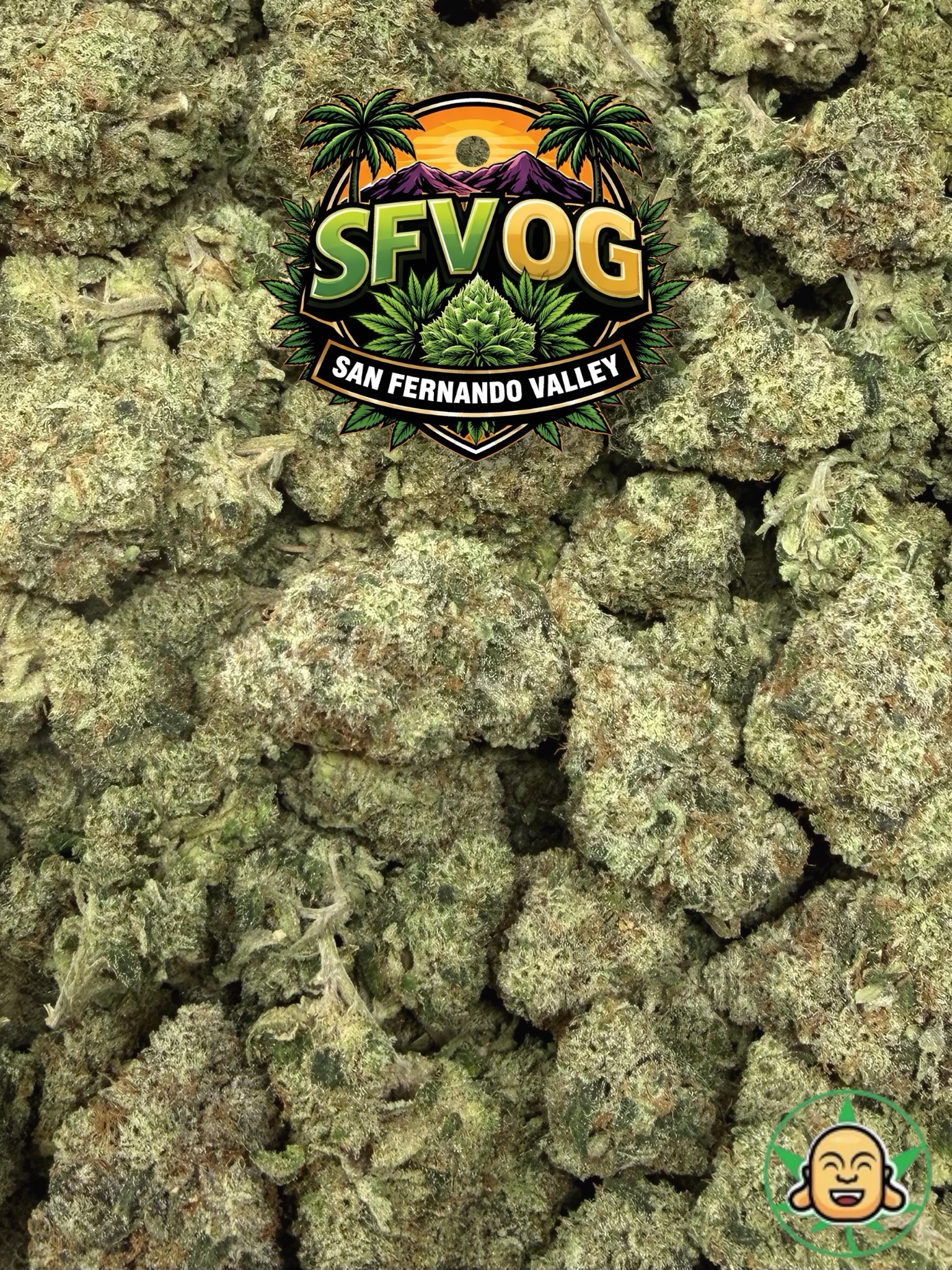 SFV OG - Image 2