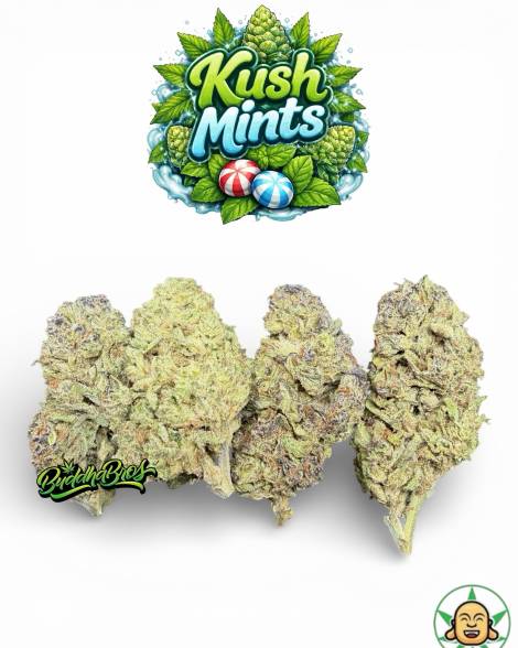 KushMints