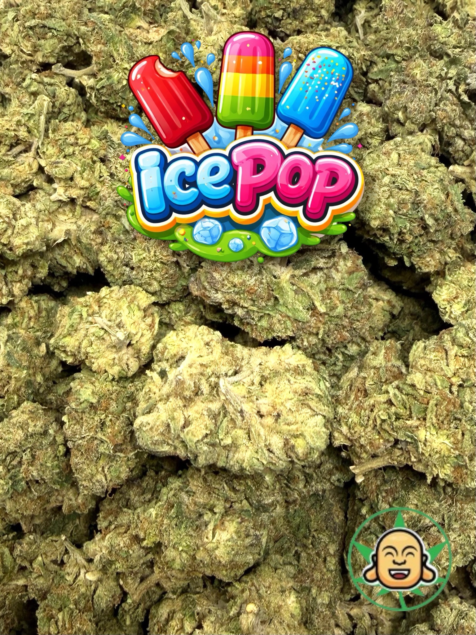 Ice Pop - Image 2