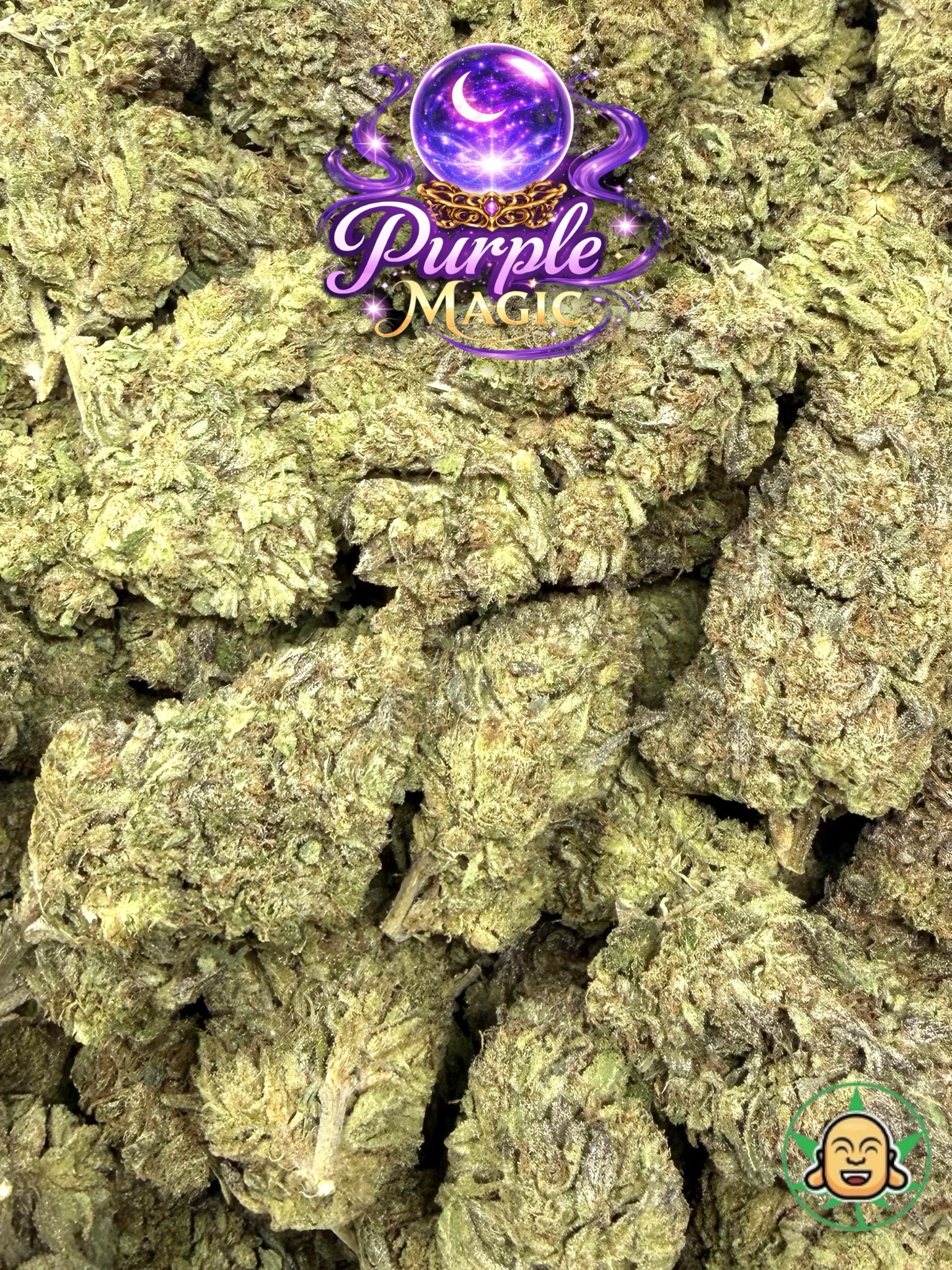 Purple Magic - Image 2