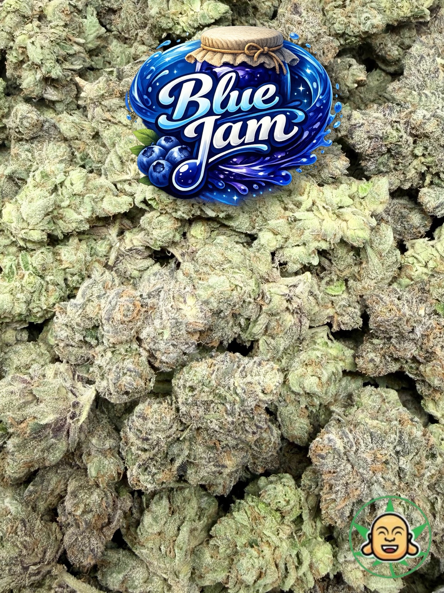 Blue Jam - Image 2