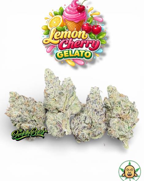 Lemon Cherry Gelato