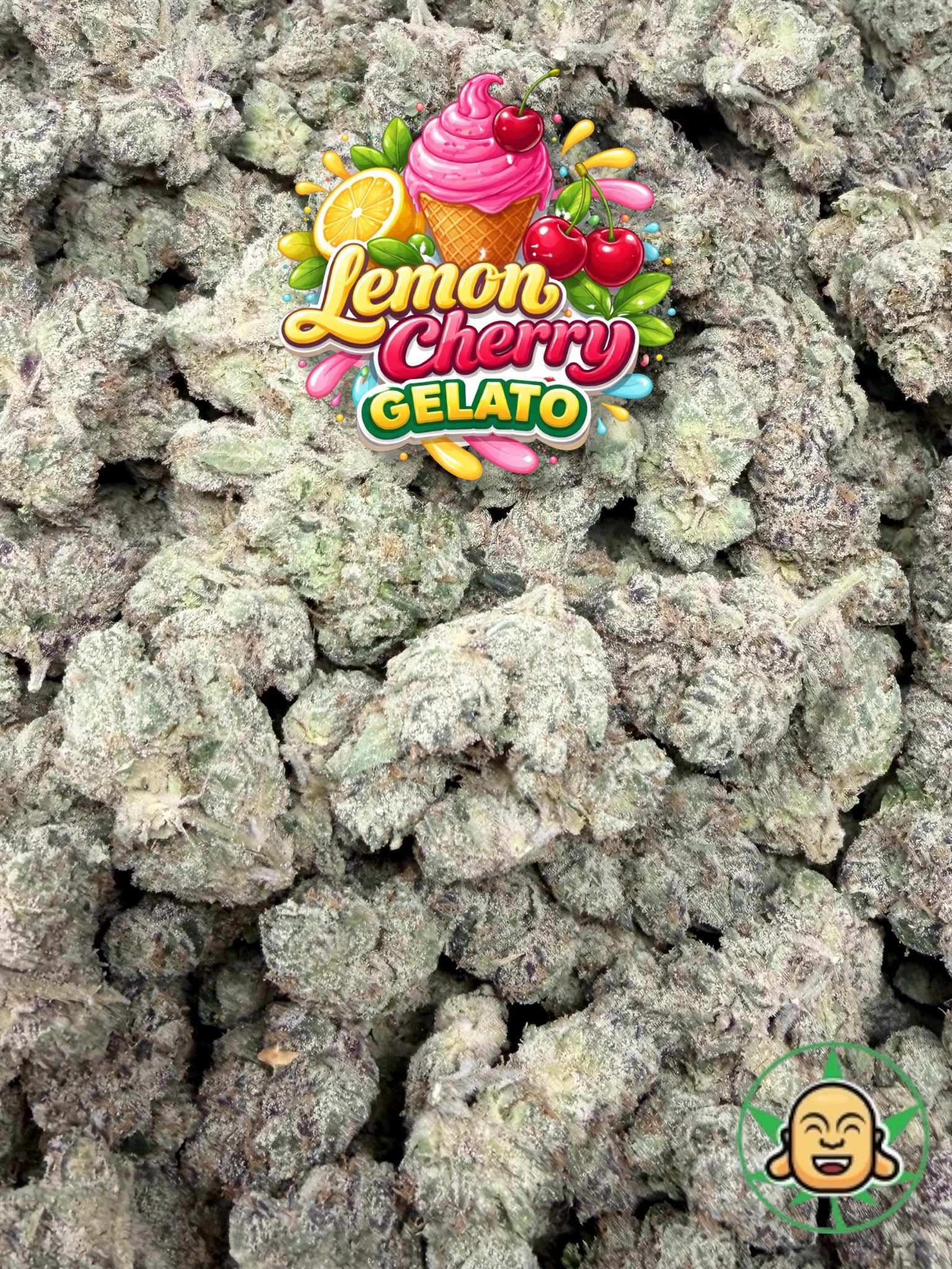Lemon Cherry Gelato - Image 2