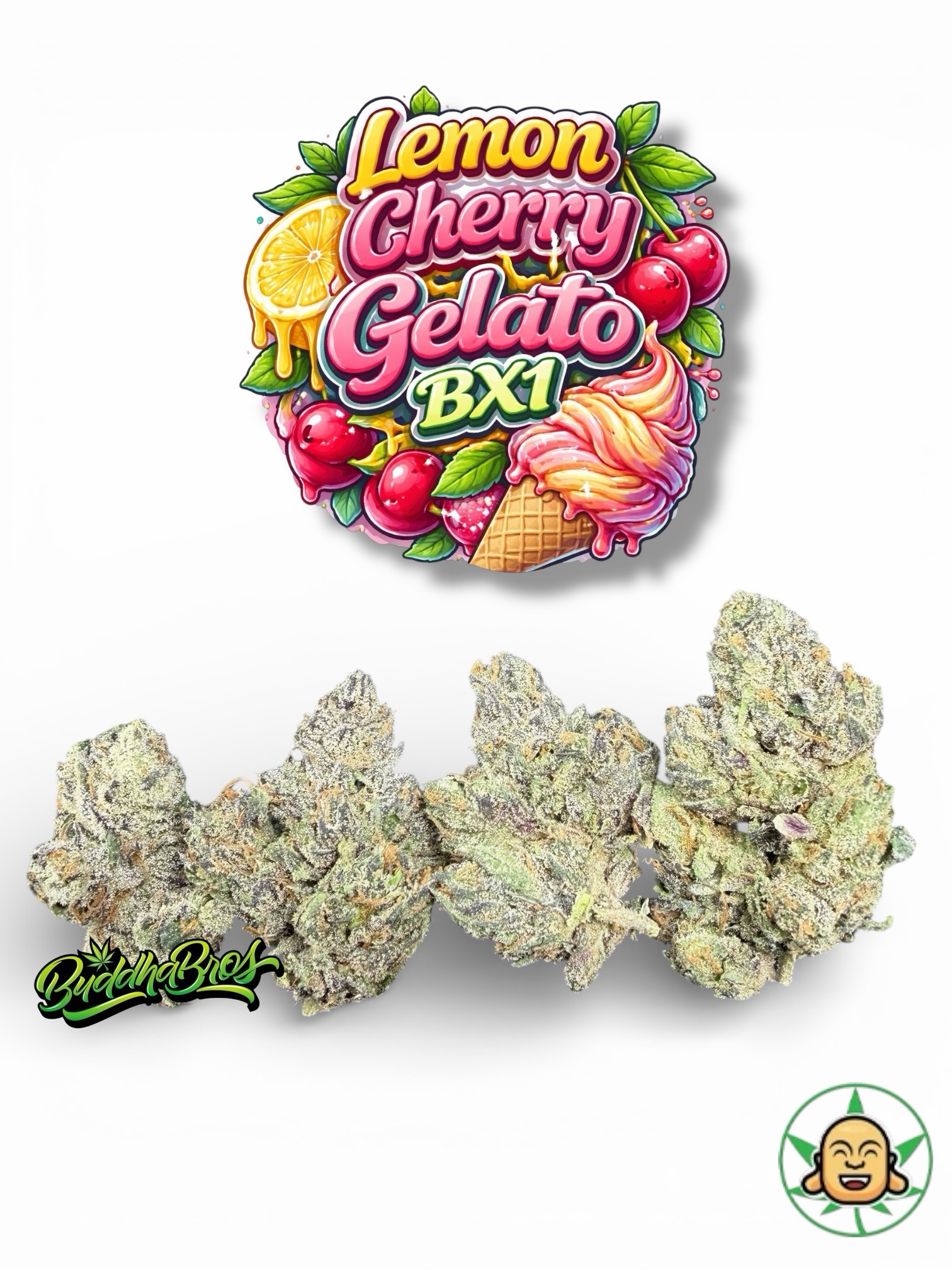 Lemon Cherry Gelato BX1