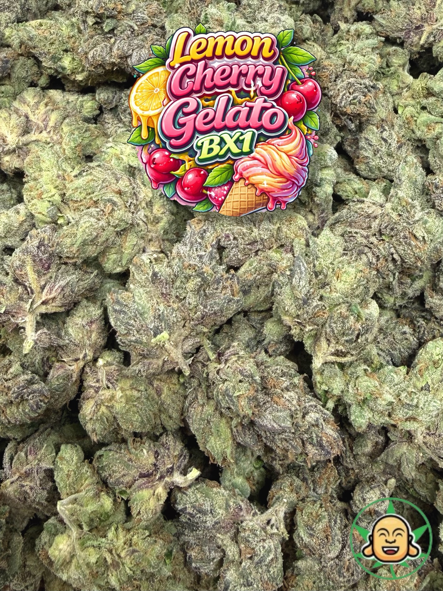Lemon Cherry Gelato BX1 - Image 2