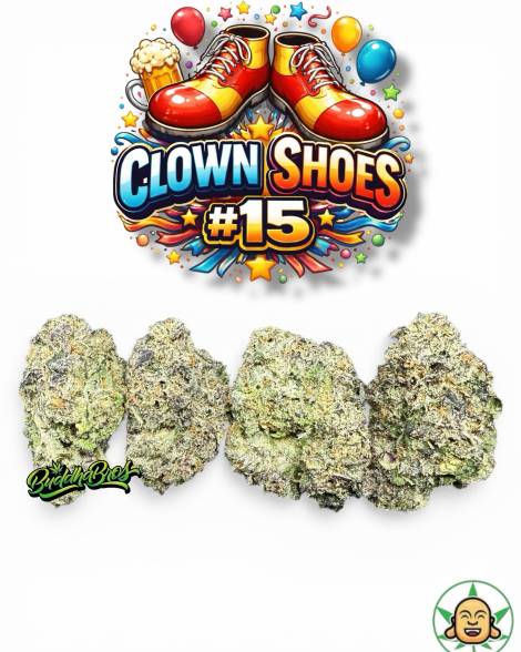 Clown Shoes