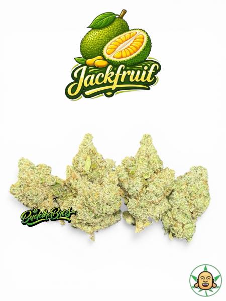 Jackfruit