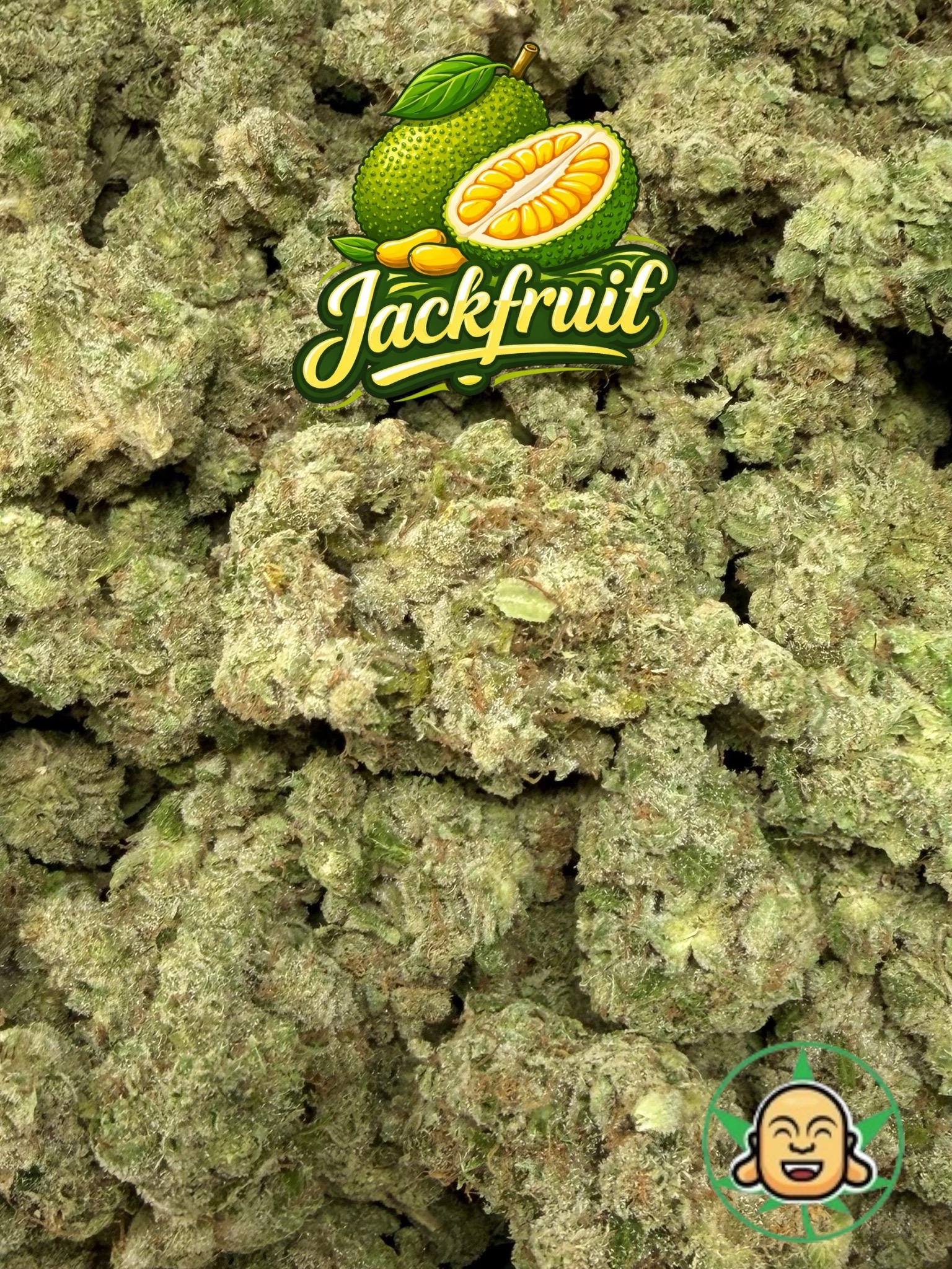 Jackfruit by BuddhaBrosLA - Image 2