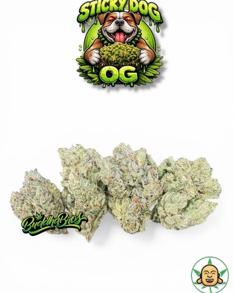 Sticky Dog OG