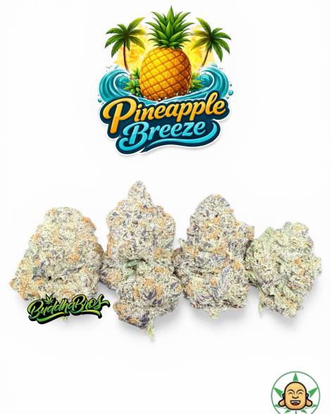 Pineapple Breeze