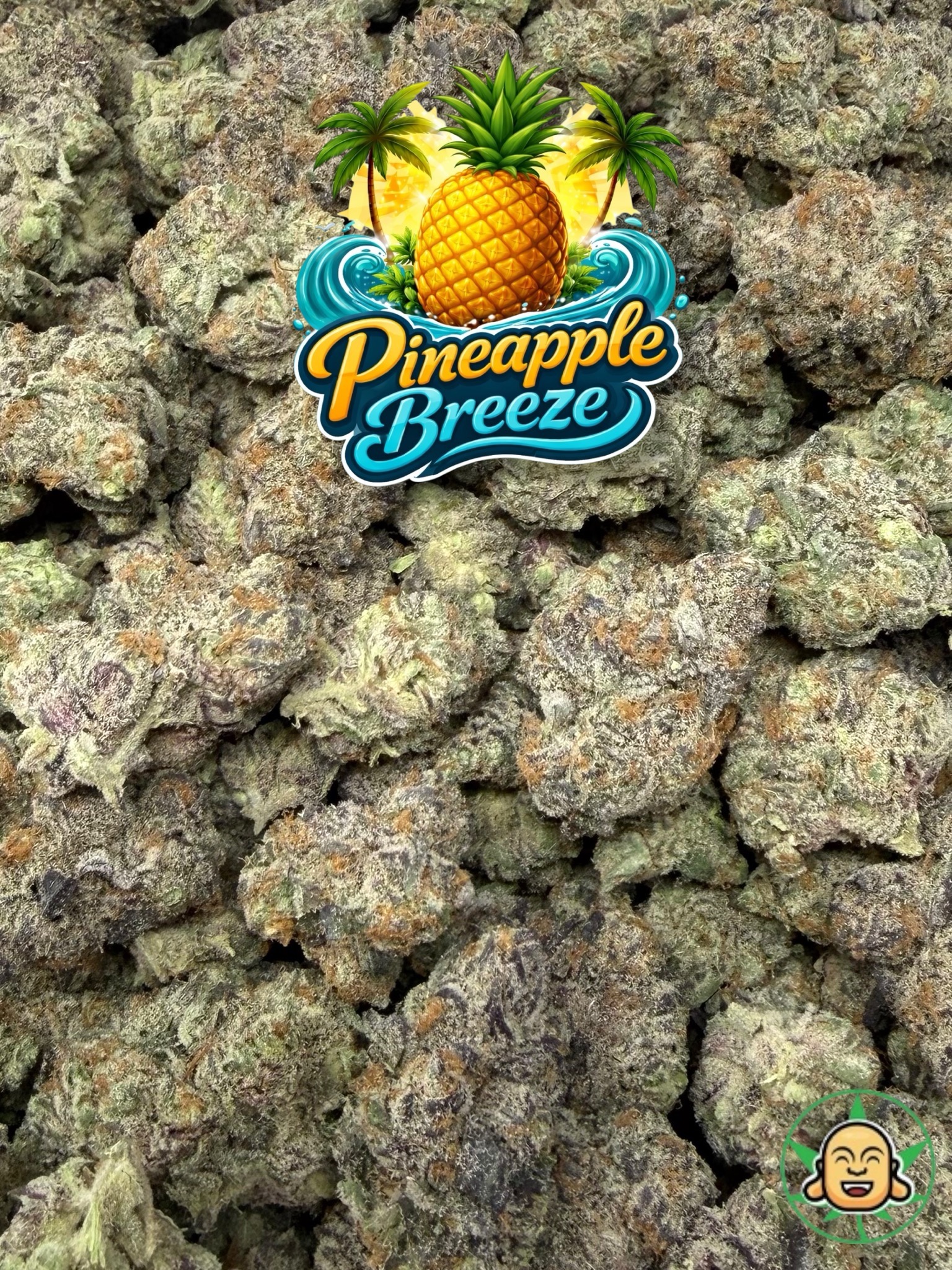 Pineapple Breeze - Image 2