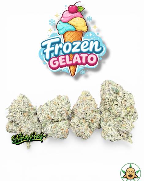 Frozen Gelato