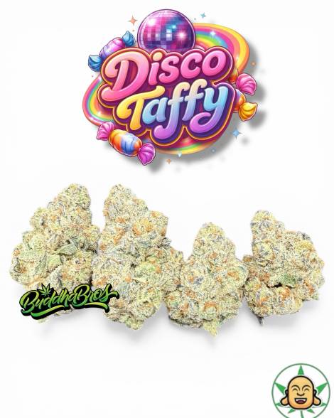 Disco Taffy