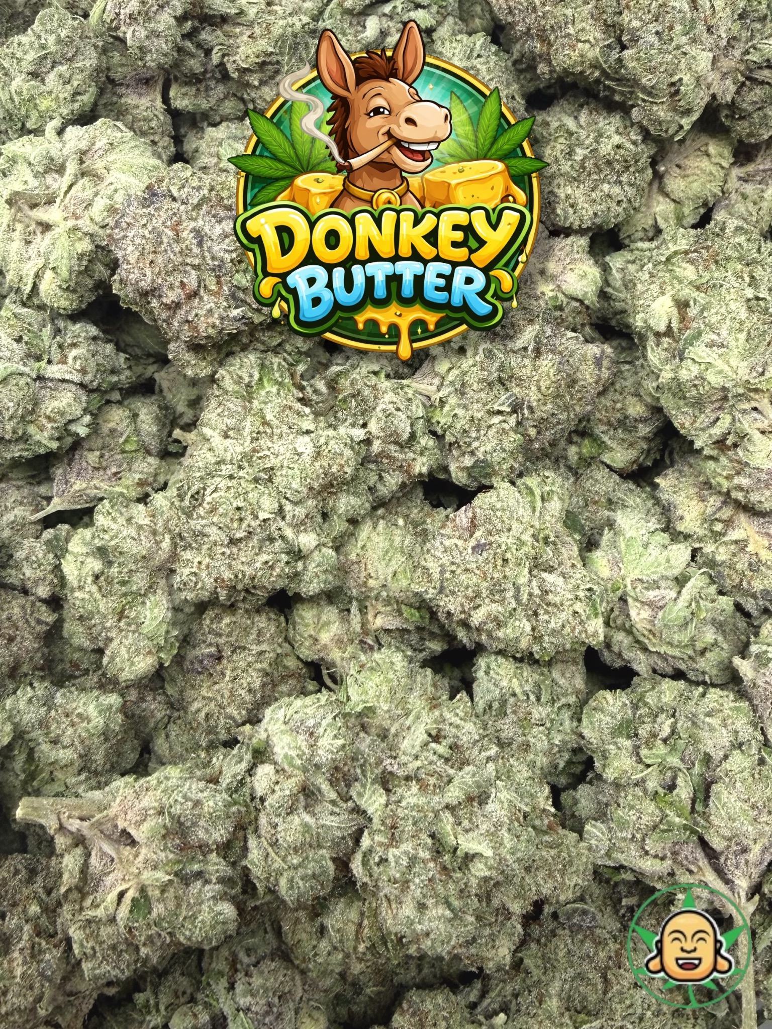 Donkey Butter - Image 2