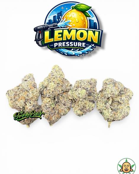 Lemon Pressure
