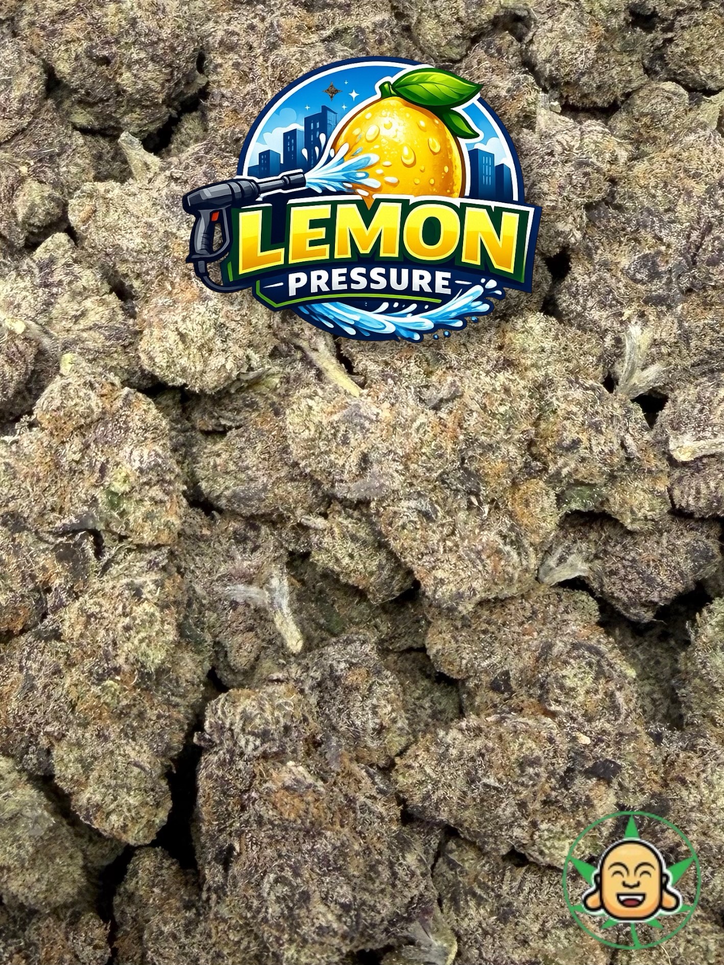 Lemon Pressure - Image 2