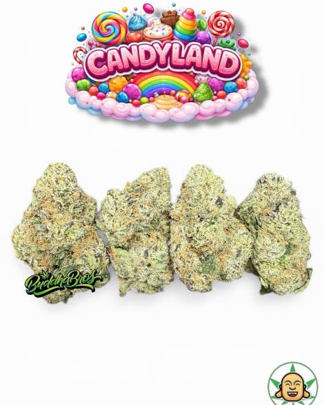Candyland