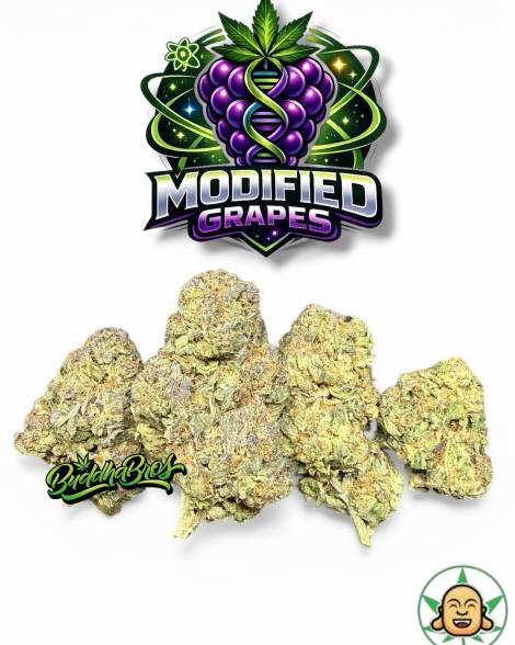 Modified Grapes