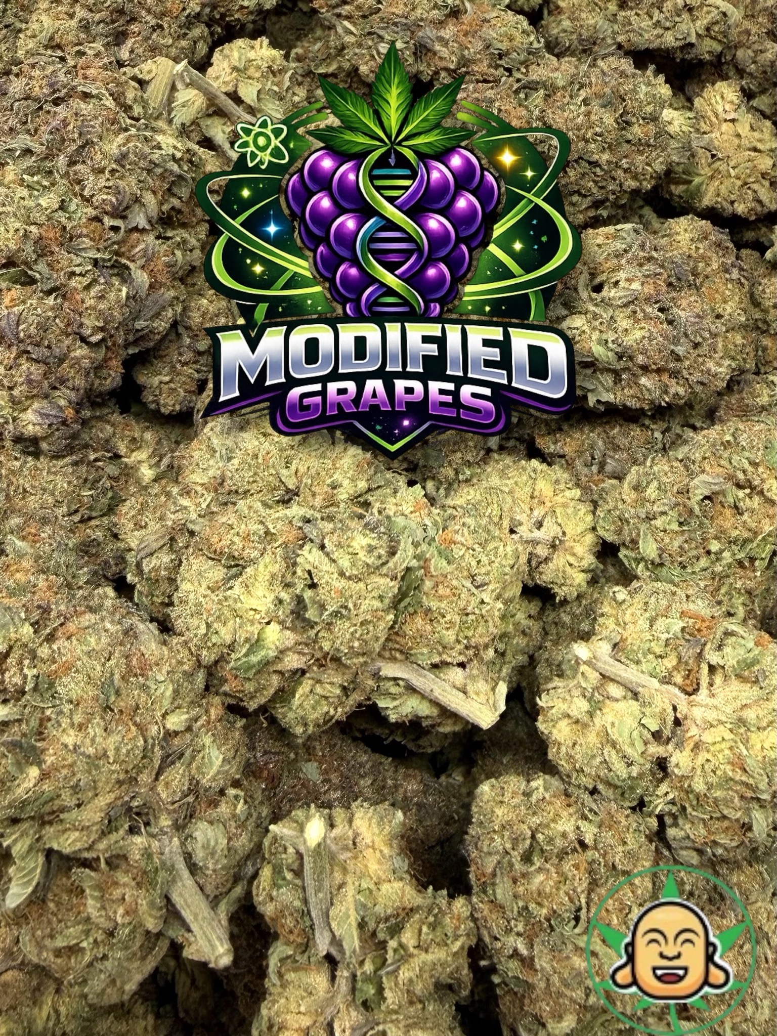 Modified Grapes - Image 2