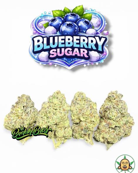 Blueberry Sugar