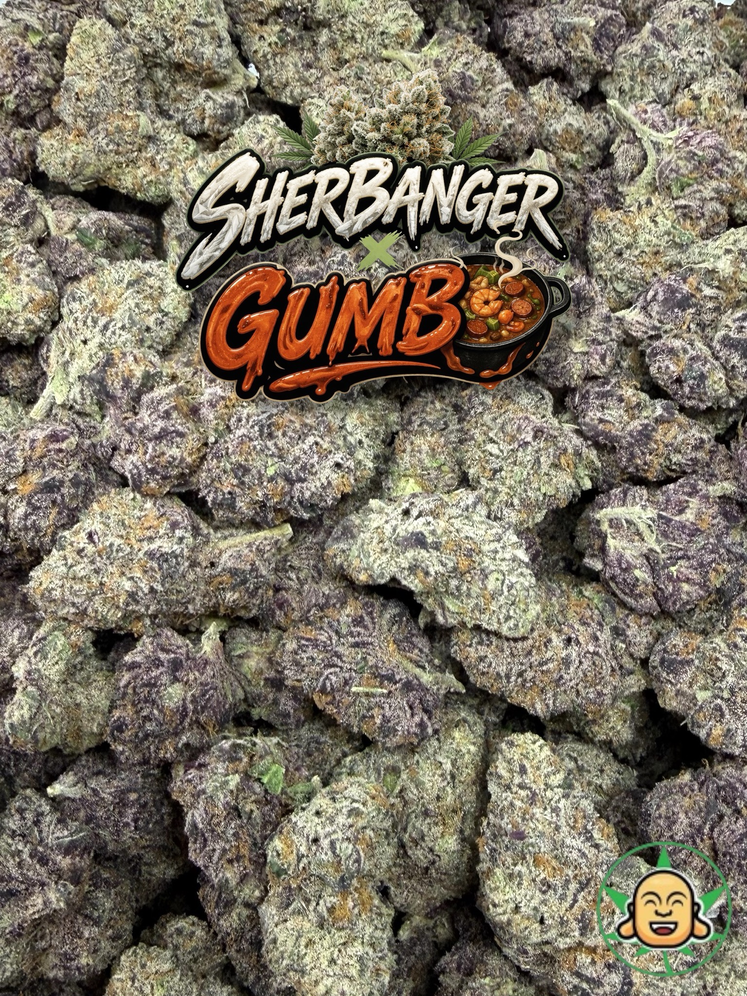 Sherbanger x Gumbo - Image 2