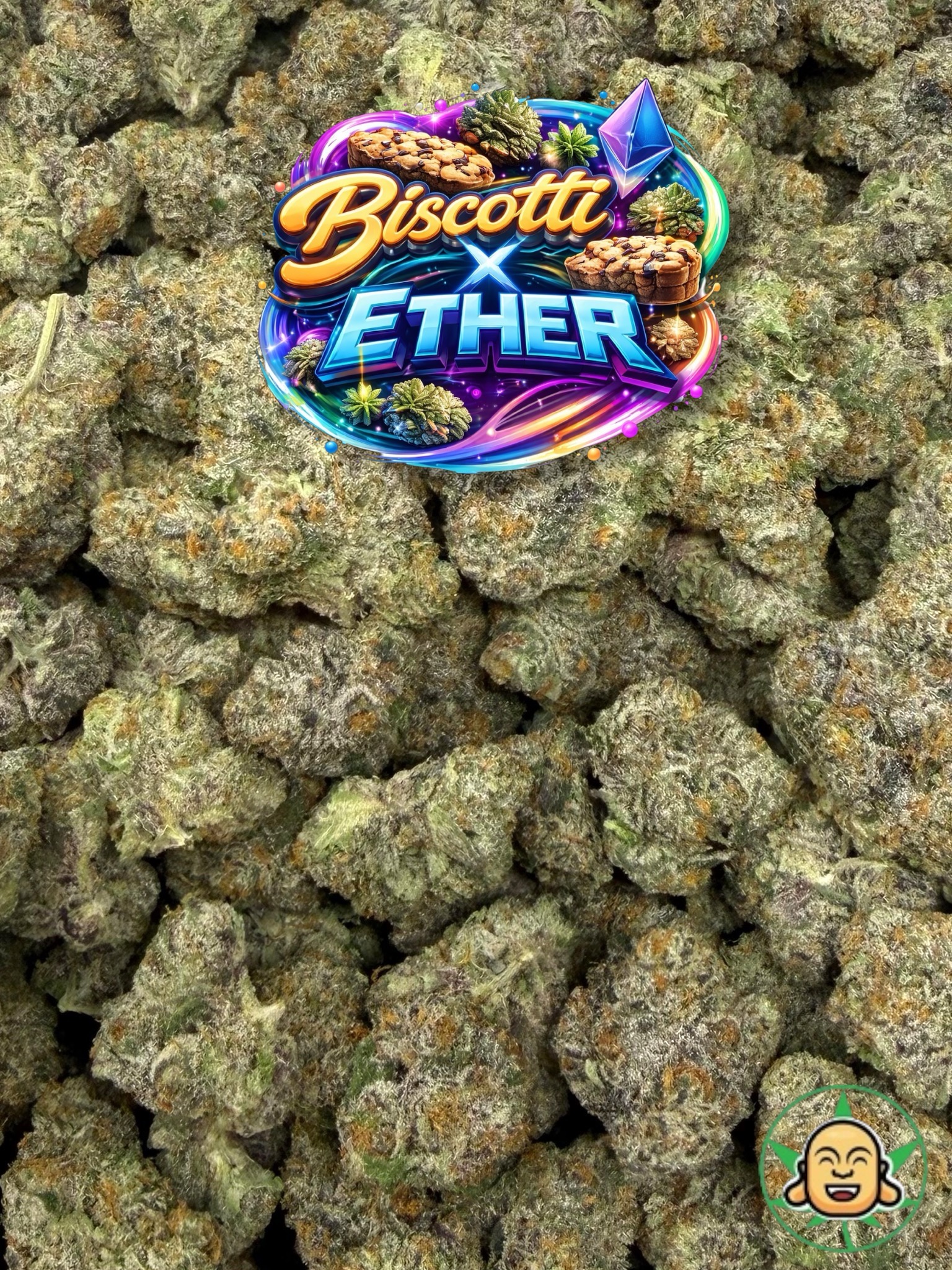 Biscotti x Ether - Image 2