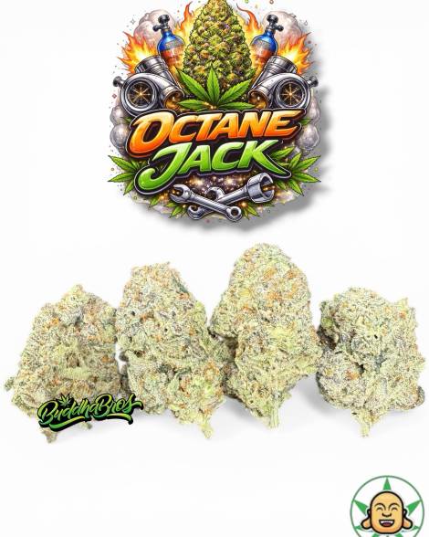Octane Jack