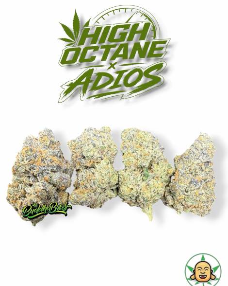 High Octane x Adios