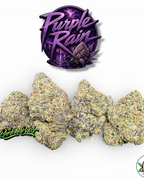 Purple Rain