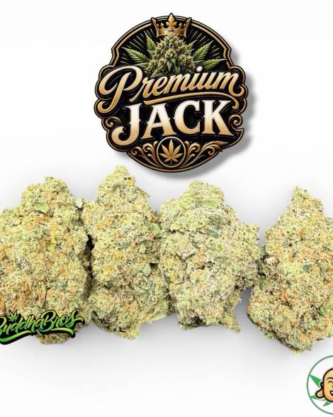 Premium Jack