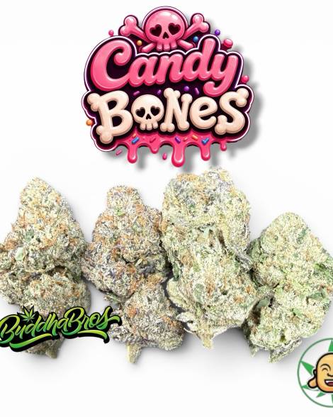 Candy Bones