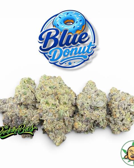 Blue Donut