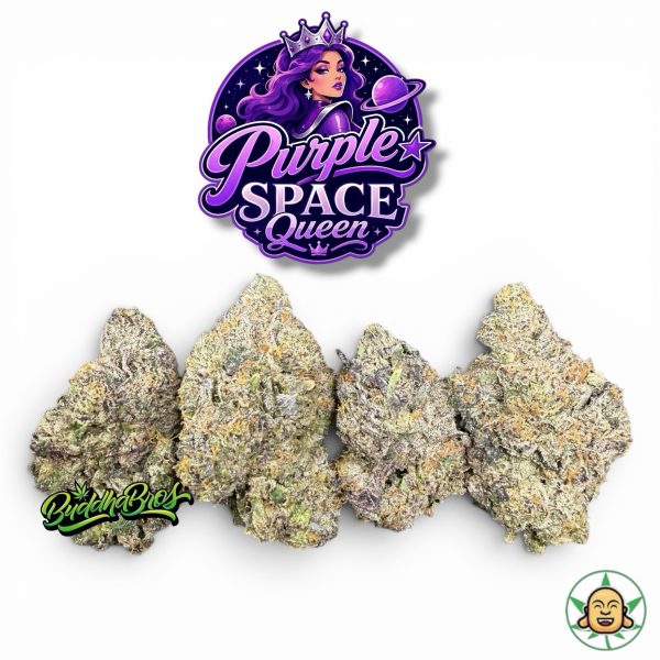 Purple Space Queen