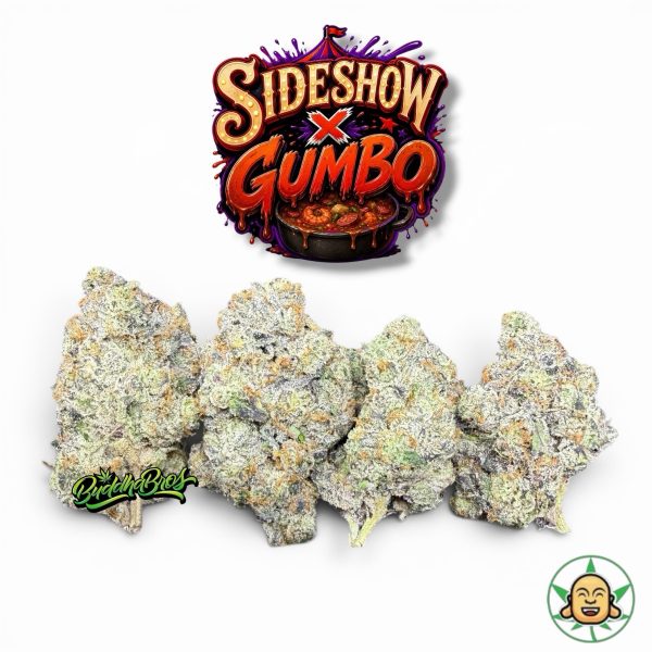 Sideshow x Gumbo
