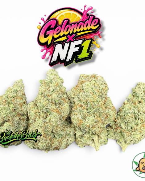 Gelonade X NF1
