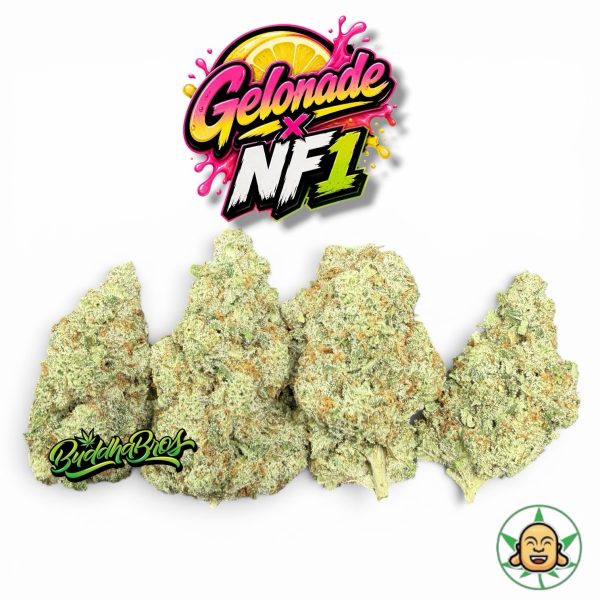 Gelonade X NF1