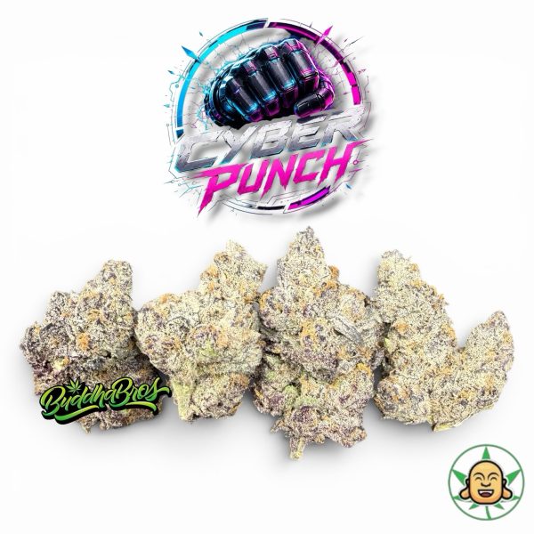 Cyber Punch