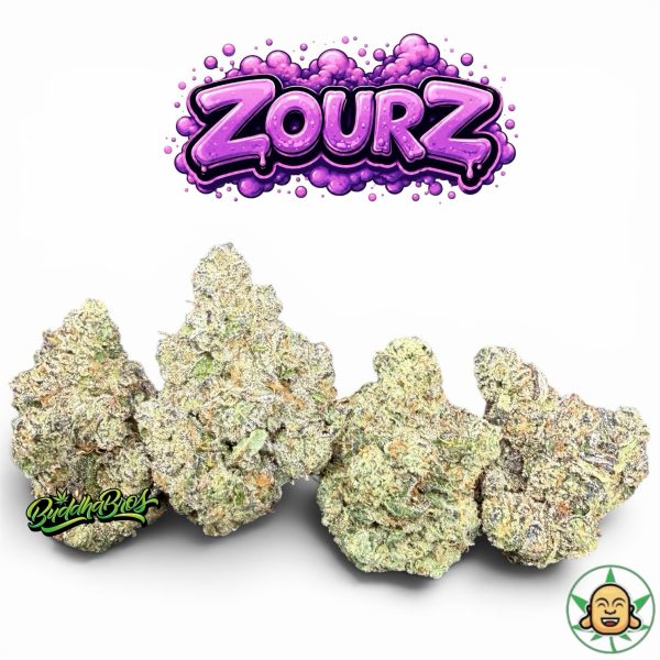 Zourz